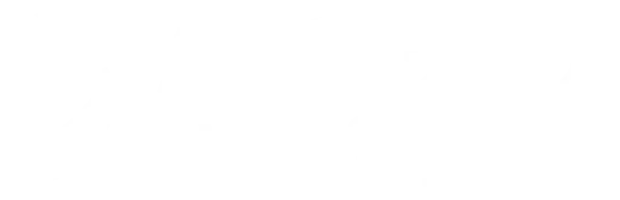 Apogeo Space's e-commerce